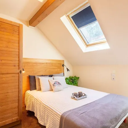 10 Pers Avec Piscine, Sauna Et Parking En Centre-ville De - Fr-1-296-394 Apartment