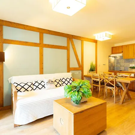 10 Pers Avec Piscine, Sauna Et Parking En Centre-ville De - Fr-1-296-394 *