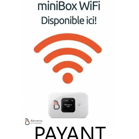 Centre-ville Avec Piscine, Sauna Et Parking Sécurisé - Fr-1-296-394