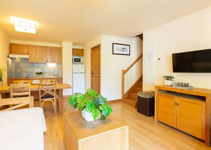 Centre-ville Avec Balcon, Piscine Et Parking Securise - Fr-1-296-394 سانت لاري سولون